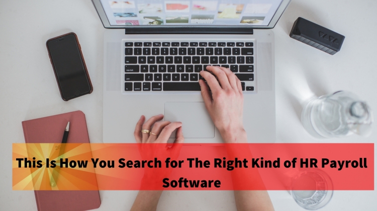 This Is How You Search for The Right Kind of HR Payroll Software